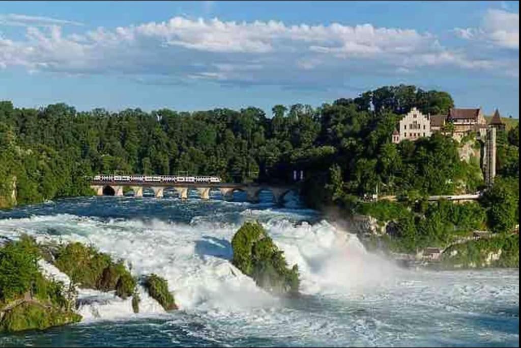 Modern Holiday Home Near Rheinfall And Black Forest Weisweil  Exteriör bild